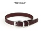 "Nevada" collar "Nevada" collar