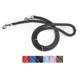 Reflex Training Leash