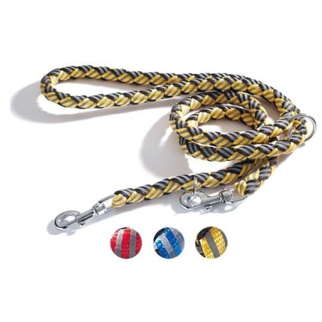 Two-coloured Reflex Training Leash