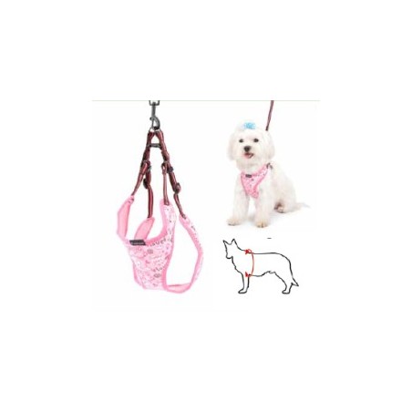 Pink Dog Harness + Leash
