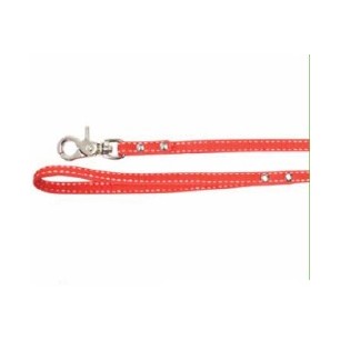 Dog leash with bow