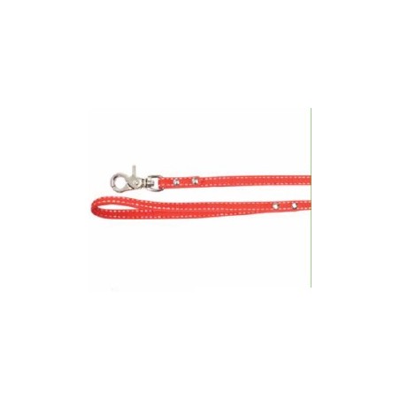 Dog leash with bow