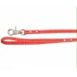 Dog leash with bow