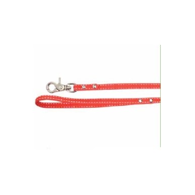 Dog leash with bow