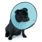 Smart collar No.0 cat Smart collar No.0 cat