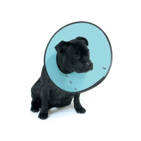 Smart collar No.2 medium