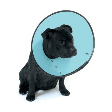 Smart collar No.2 medium