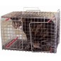 STAINLESS STEEL TRAP TRANSFER STAINLESS STEEL TRAP TRANSFER