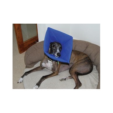 Smart collar No.1 small
