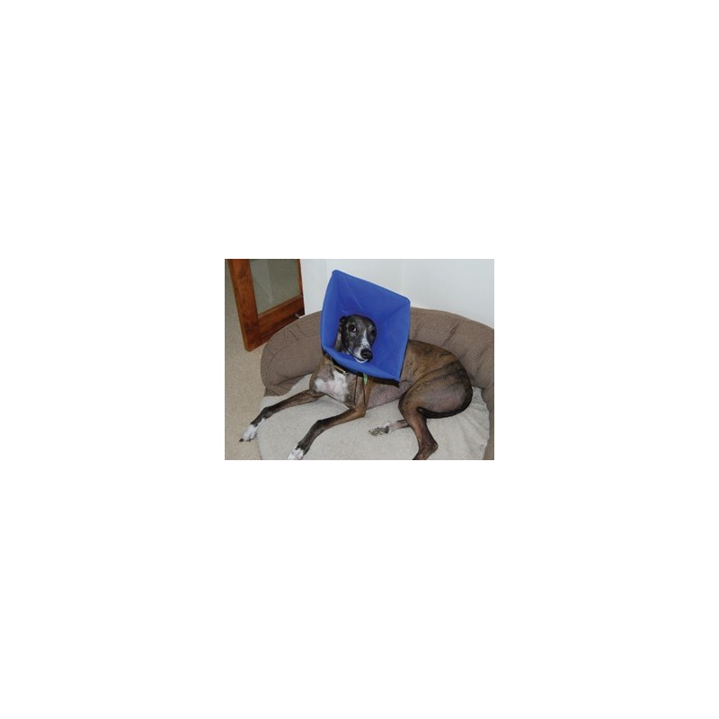 SoftE Smart collar No.3 medium SoftE Smart collar No.3 medium
