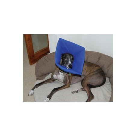 Smart collar No.1 small