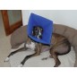 SoftE Smart collar No.3 medium SoftE Smart collar No.3 medium