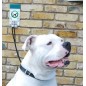 Dog parking facility Dog parking facility