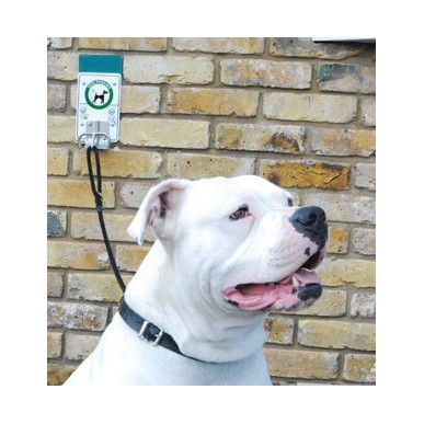 Dog parking facility