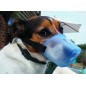 Professional dog safety muzzle Small Professional dog safety muzzle Small