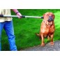 Heavy duty dog pole 100 cm Heavy duty dog pole 100 cm