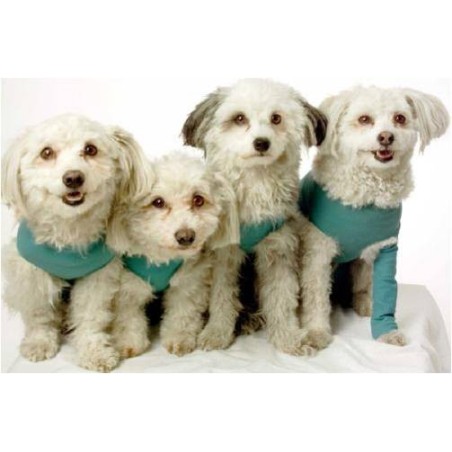 Vetmedcare Dog&Cat Body for female dogs and cats