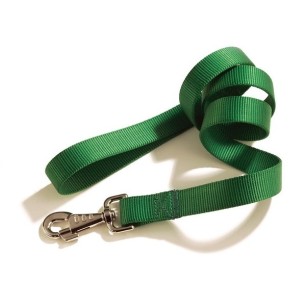 Nylon Dog Leash (25mm)