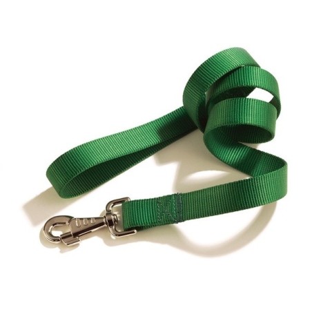 Nylon Dog Leash (25mm)
