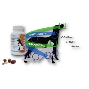 1-TDC™ Dual Action PERIODONTAL & JOINT HEALTH