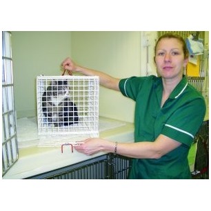 Nurses Best FriendCage with Restraining Panel