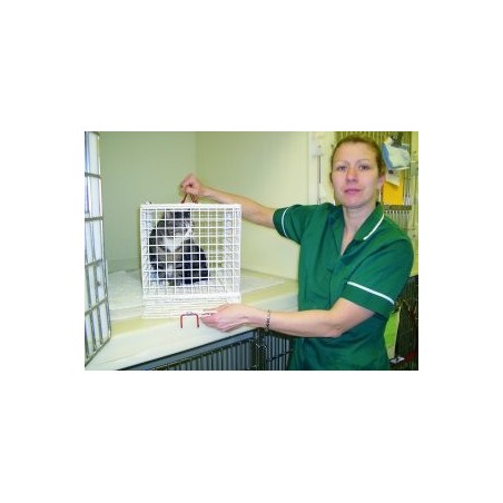 Nurses Best FriendCage with Restraining Panel