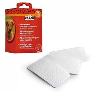 Absorbent liner pads with stickers