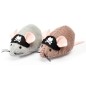Pirate Mice Pirate Mice
