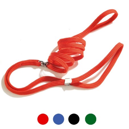 Leash & Collar nylon set