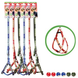 Leash & Harness Set "Great Friend"