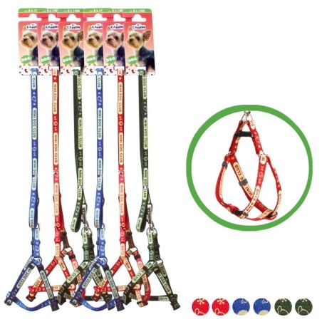 Leash & Harness Set "Mini Dog Club"