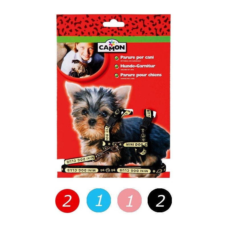 Leash & Harness Set "Cuccioli" Leash & Harness Set "Cuccioli"