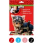 Leash & Harness Set "Cuccioli" Leash & Harness Set "Cuccioli"