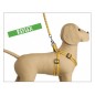Leash/Harness Set "Parure Reflex" Leash/Harness Set "Parure Reflex"