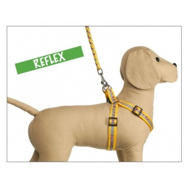 Leash/Harness Set "Parure Reflex"
