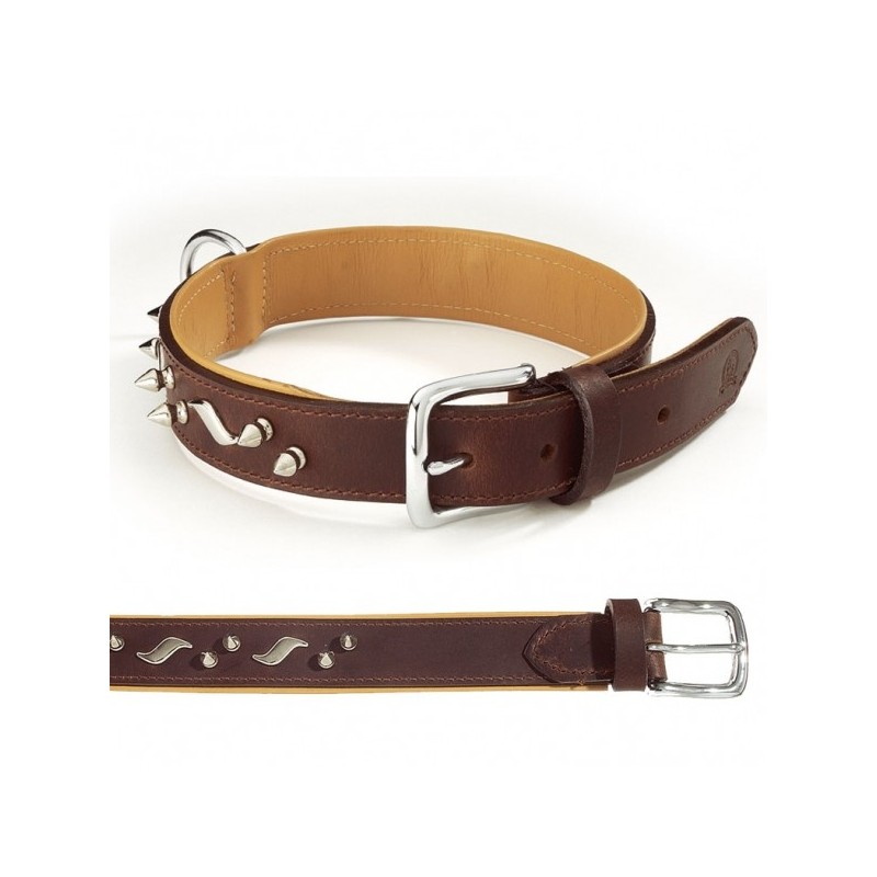 Collar "Colorado" Collar "Colorado"