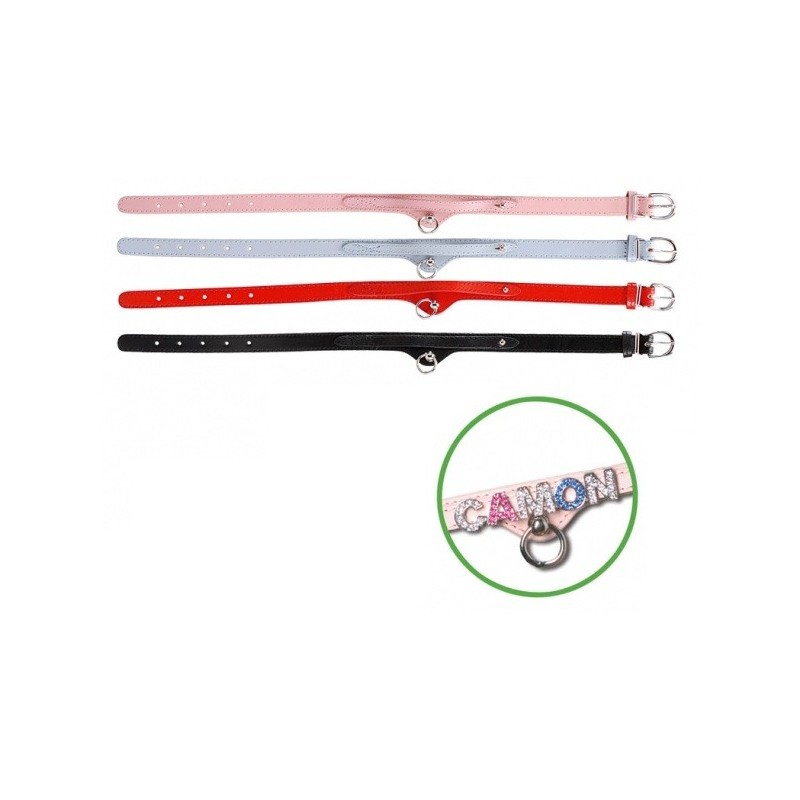 Leather Collar with Name (16x400mm) Leather Collar with Name (16x400mm)