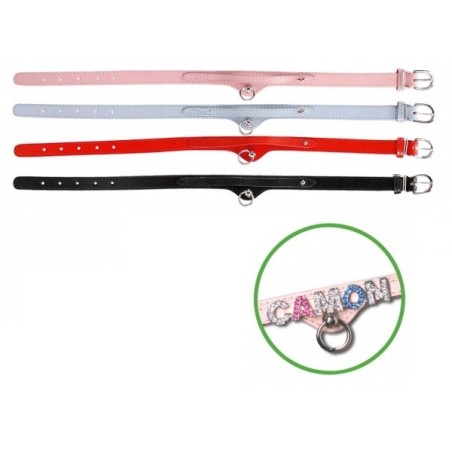 Leather Collar with Name (16x400mm)