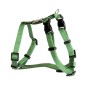 Harness with bone rhinestone 10mm Harness with bone rhinestone 10mm