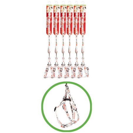 Leash & Collar nylon set