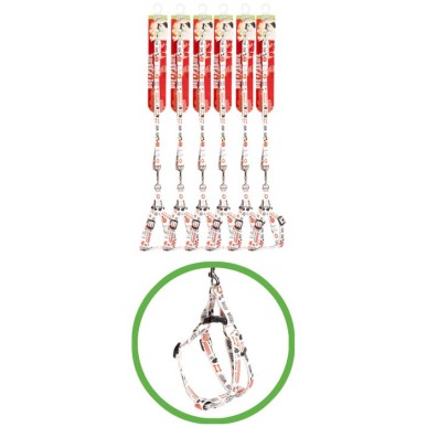 Leash & Collar nylon set