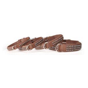 Brown Collar "Chic"