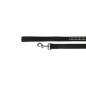 Black Leash "Chic"