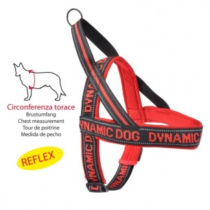 Red Neoprene Harness "Dynamic"