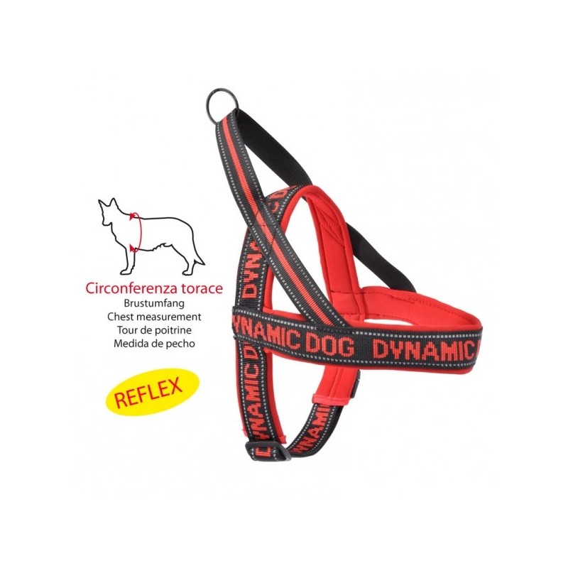 Red Neoprene Harness "Dynamic" Red Neoprene Harness "Dynamic"