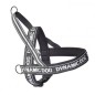 Black Neoprene Harness "Dynamic" Black Neoprene Harness "Dynamic"
