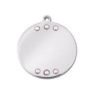 Silver Circle ID Tag with 6 Rhinestones