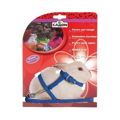 Set Leash/Harness for Rabbits