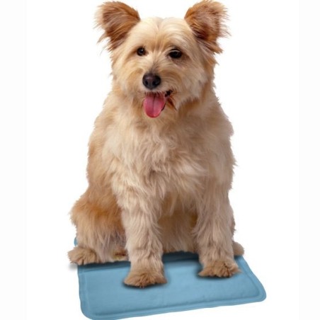 Cool mat