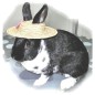 I’ll Eat My Hat – Edible Toy I’ll Eat My Hat – Edible Toy